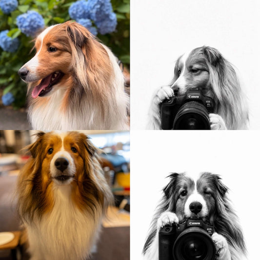 愛犬カメラマンのAIプロンプト紹介